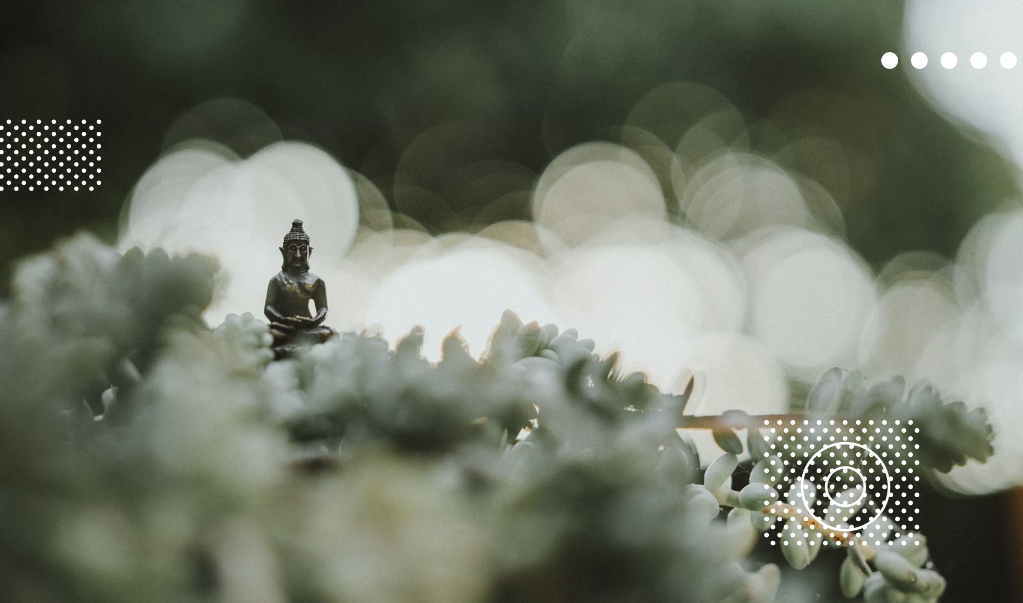 Create Your Perfect Meditation Garden with HeyHome