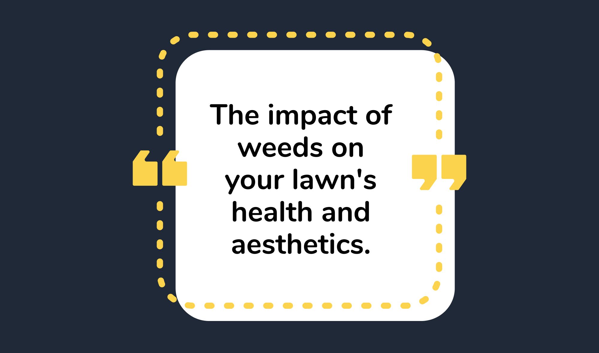 The impact of weeds on your lawn's health and aesthetics.