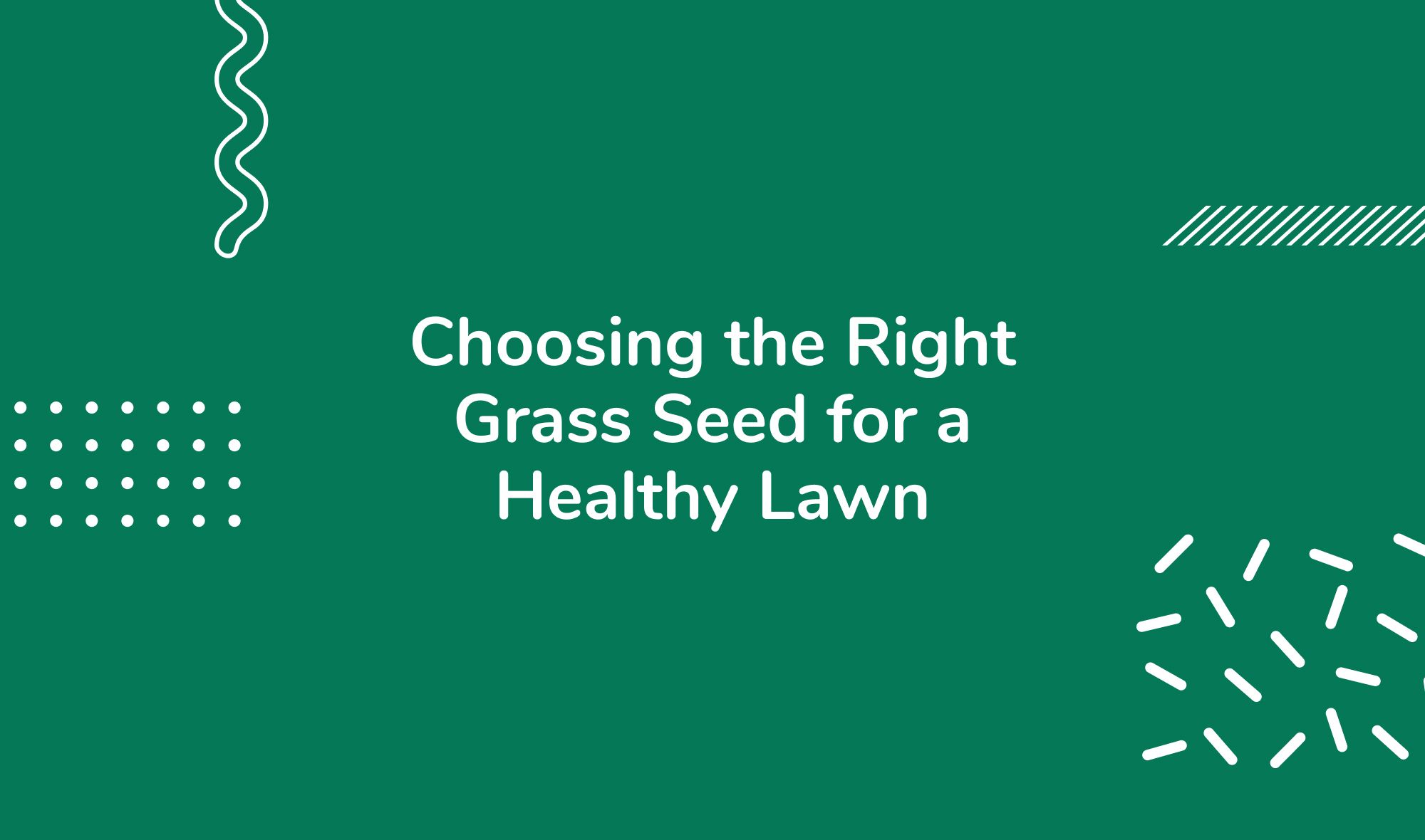 Choosing the Right Grass Seed for a Healthy Lawn