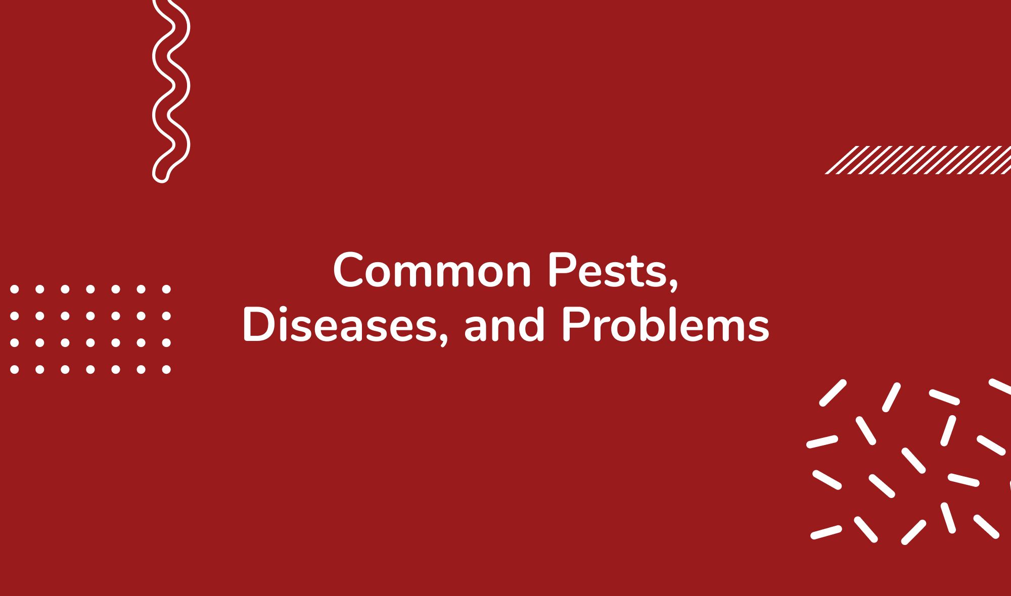 Common Pests, Diseases, and Problems