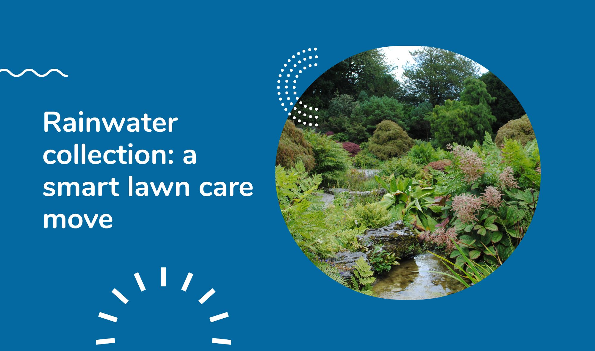 #16 Rainwater collection: a smart lawn care move for Rochester residents