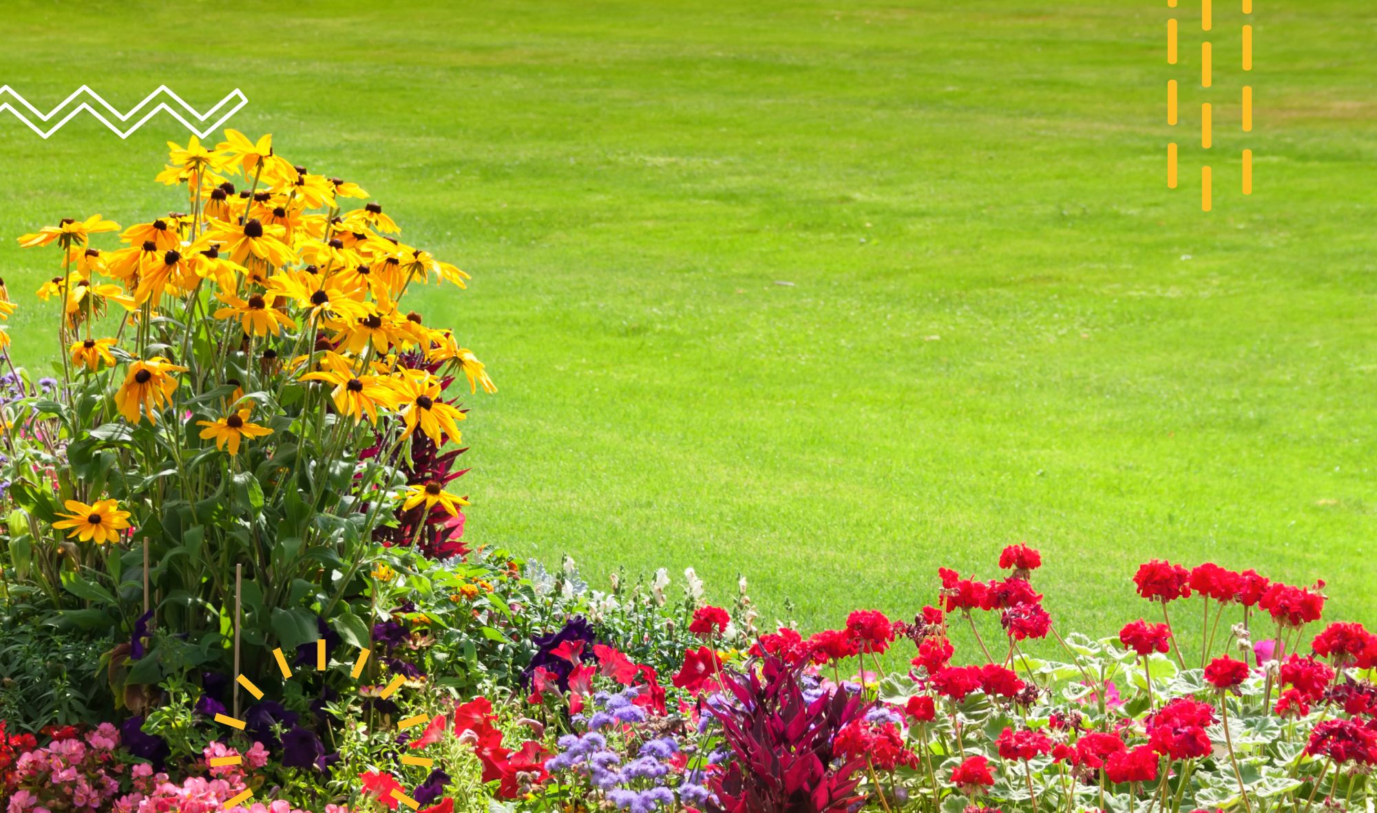 Achieving the greenest grass: a comprehensive guide to lawn care