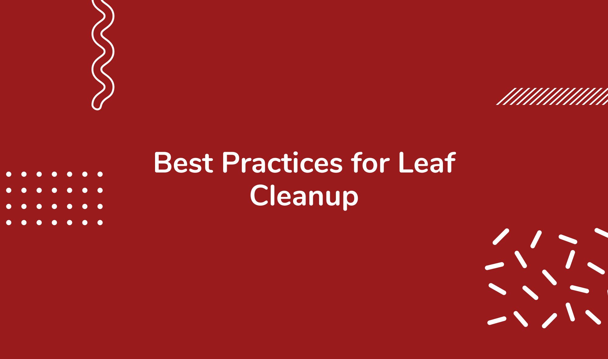 Best Practices for Leaf Cleanup