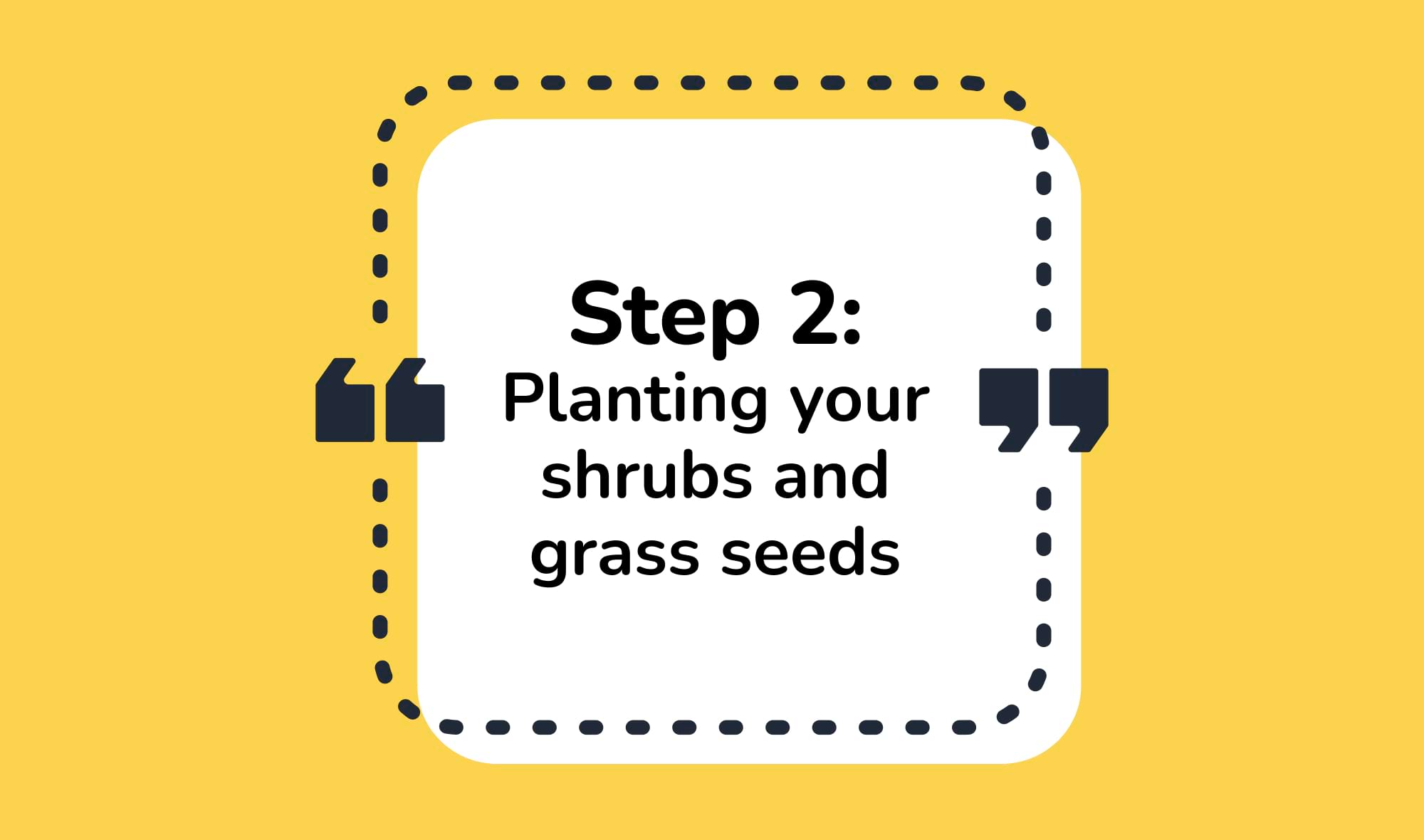 Step 2: Planting your shrubs and grass seeds