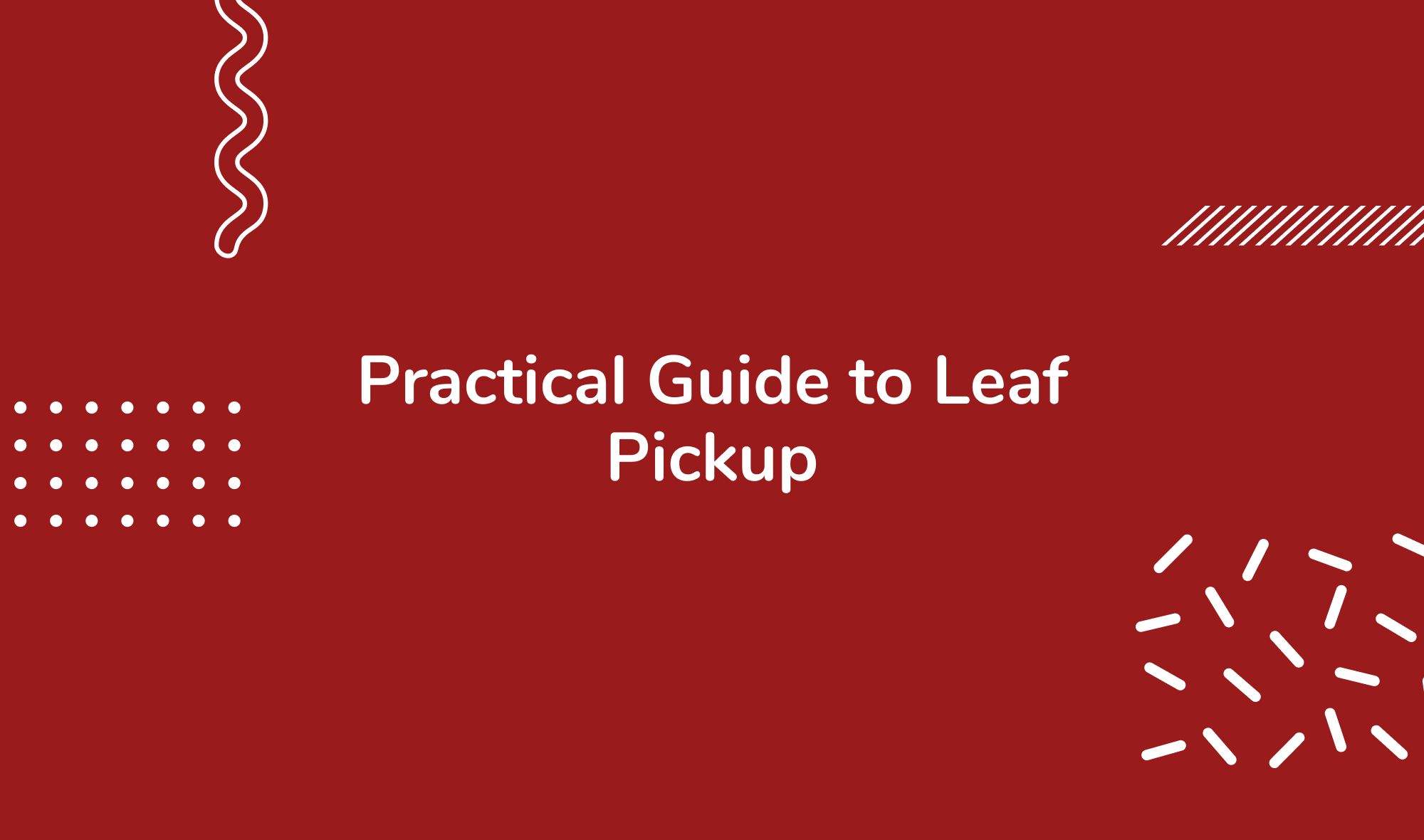 Practical Guide to Leaf Pickup