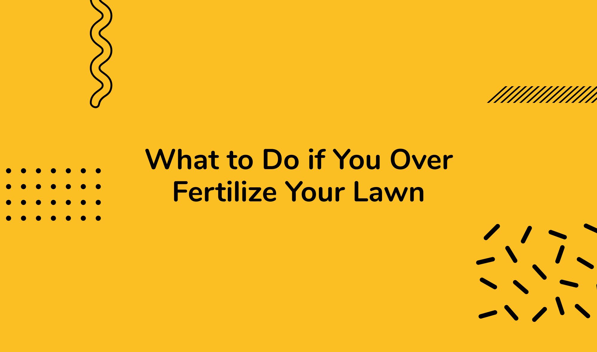 What to Do if You Over Fertilize Your Lawn: Initial Steps