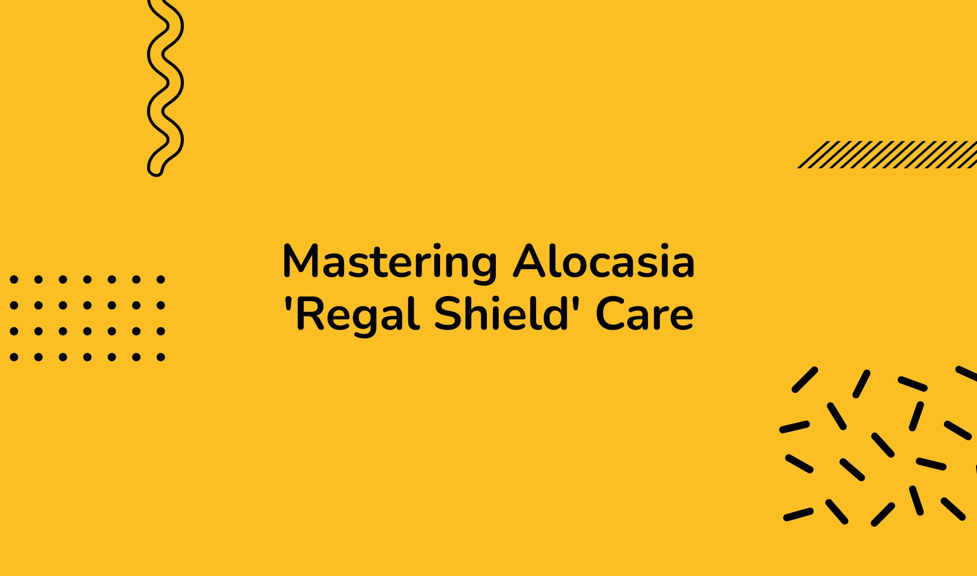 Mastering Alocasia 'Regal Shield' Care: A Comprehensive Guide