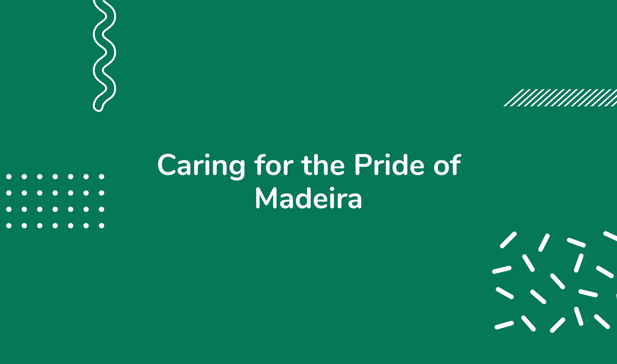 Caring for the Pride of Madeira