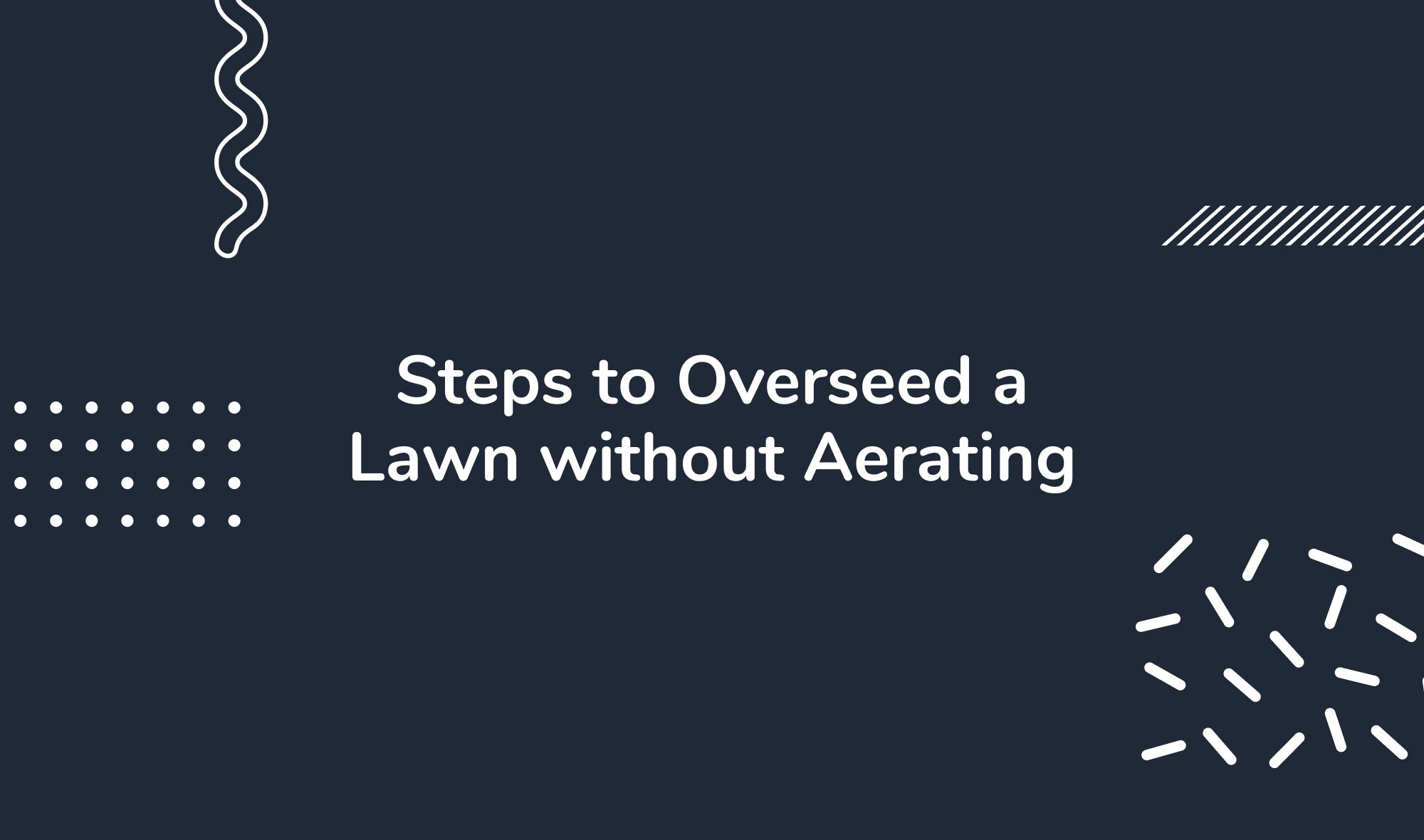 Steps to Overseed a Lawn without Aerating