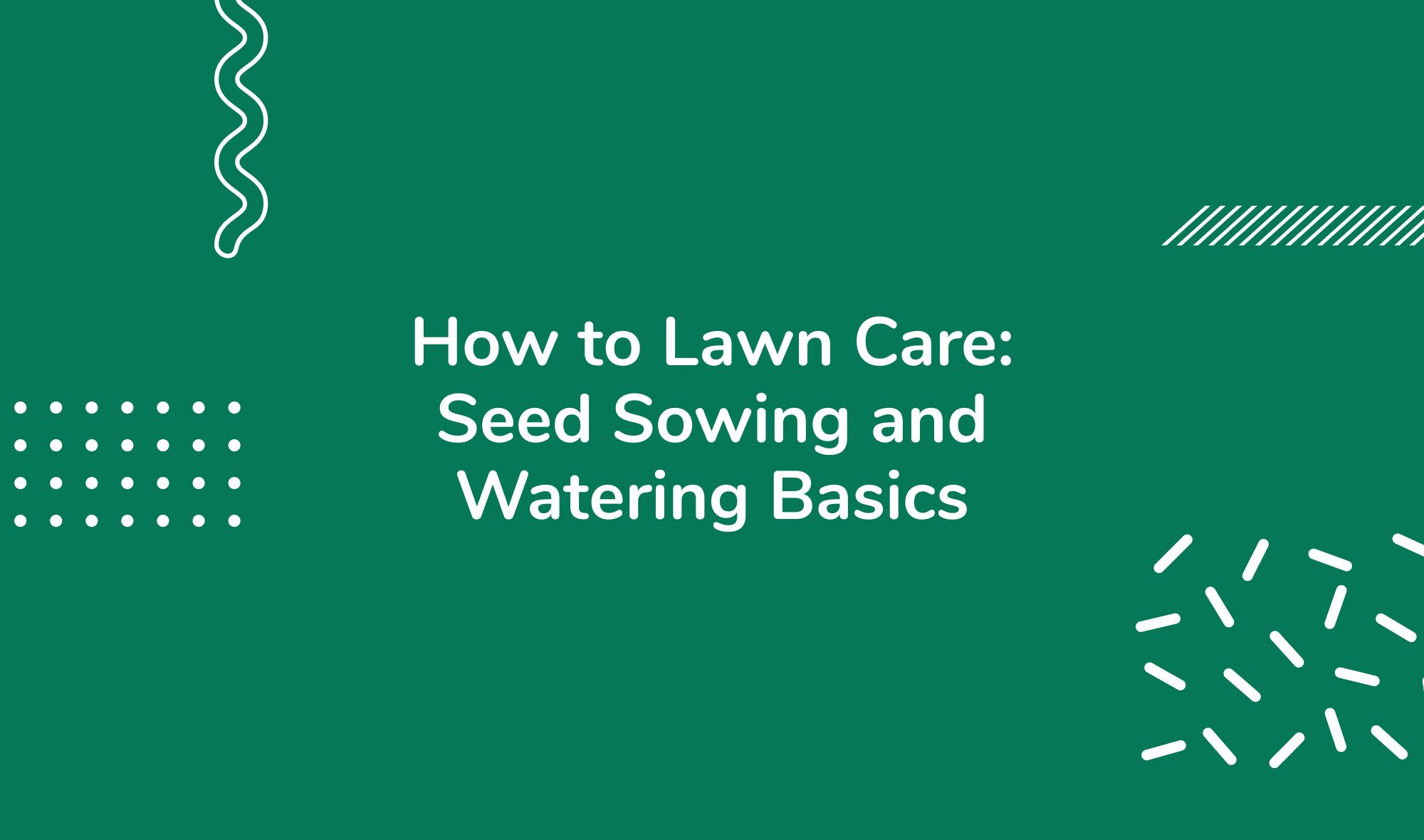 How to Lawn Care: Seed Sowing and Watering Basics