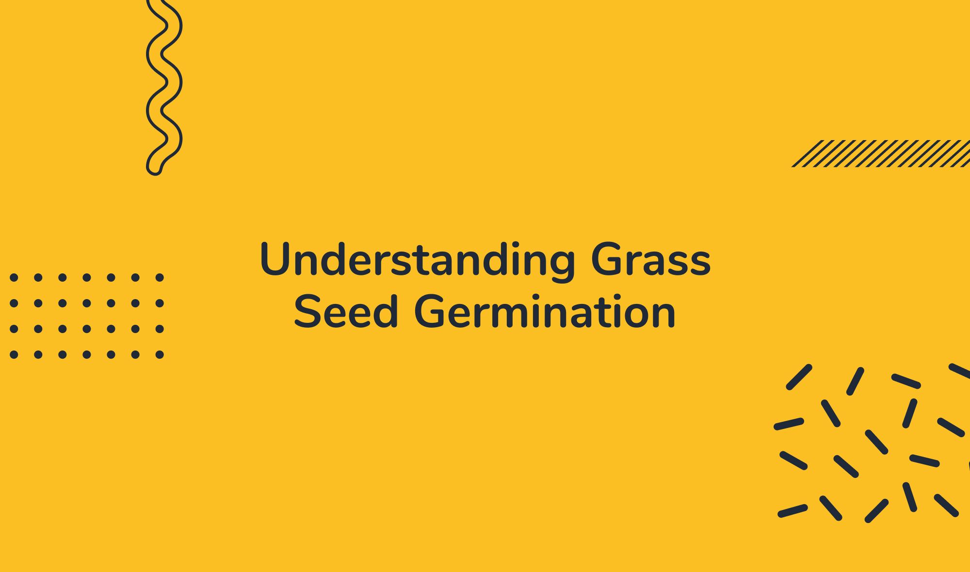 Understanding Grass Seed Germination