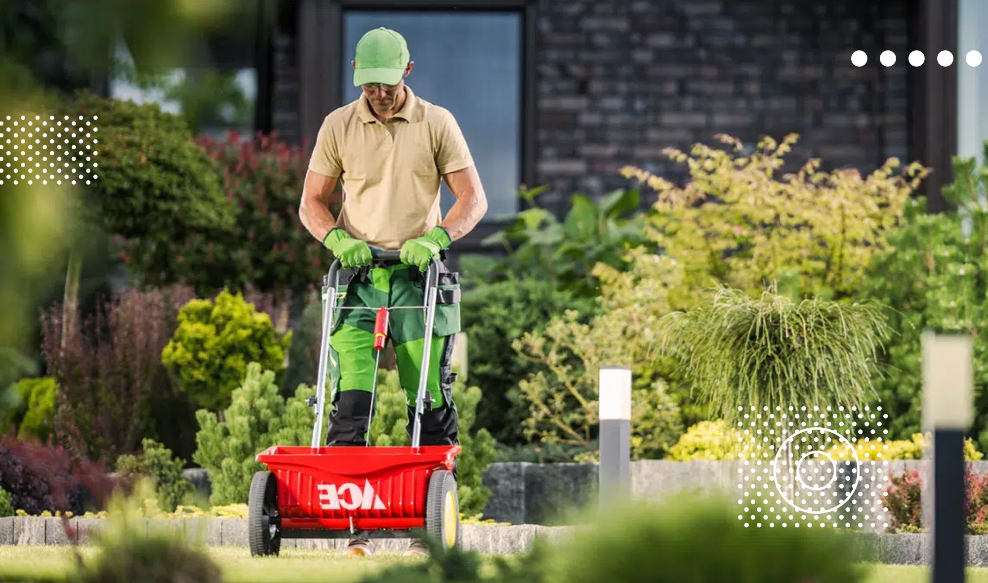 Selecting the Best Seed Spreader for a Healthy, Lush Lawn