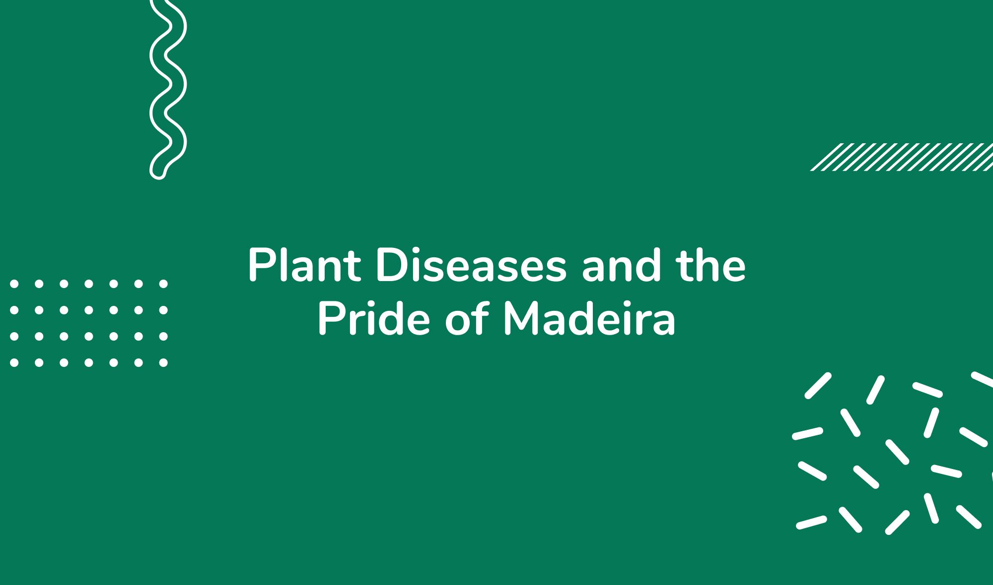 Plant Diseases and the Pride of Madeira