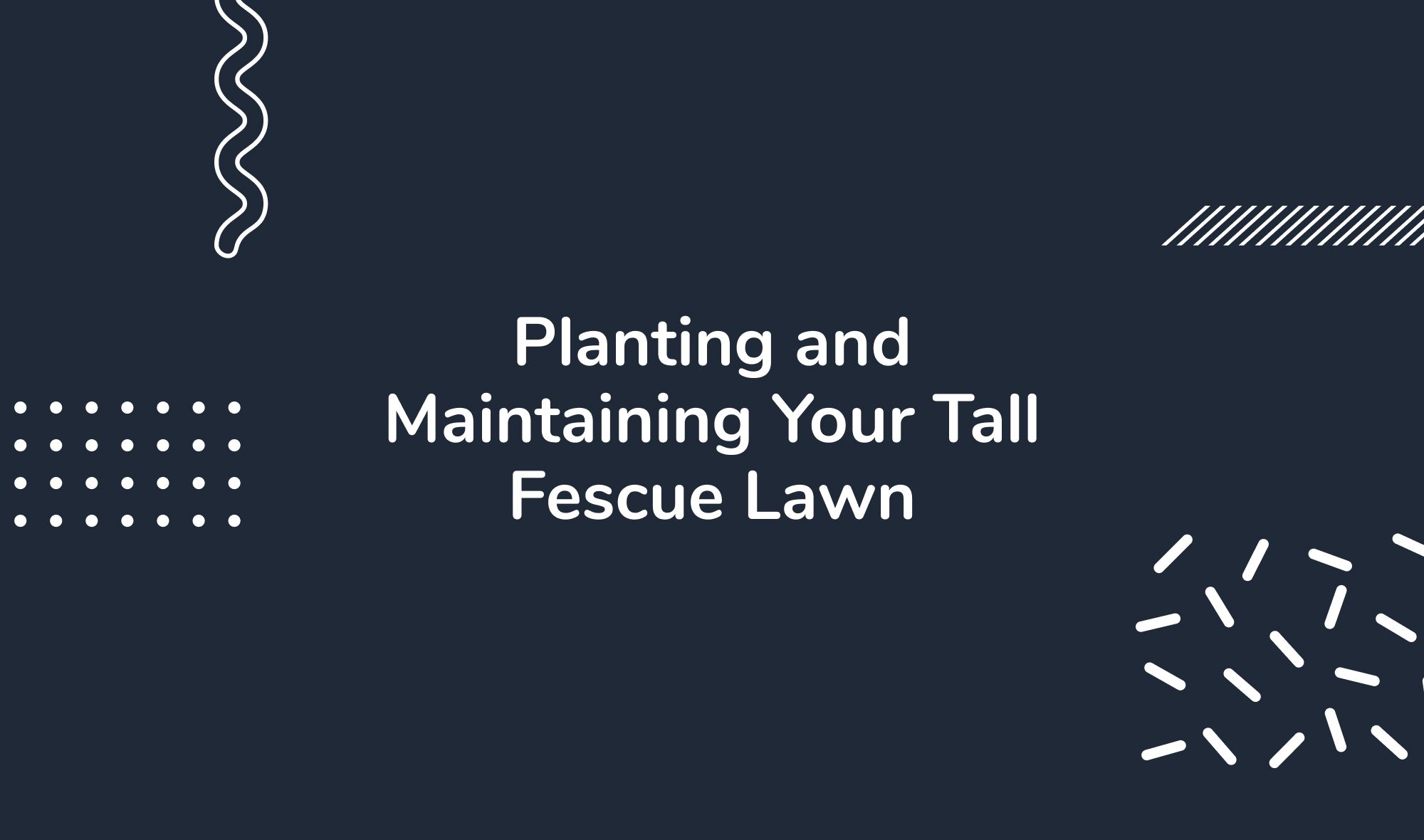 Planting and Maintaining Your Tall Fescue Lawn
