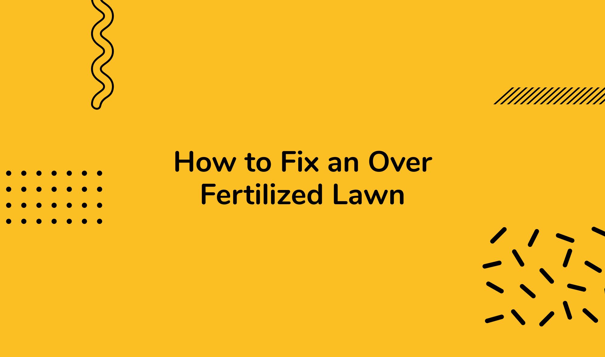 How to Fix an Over Fertilized Lawn: Long-Term Strategies