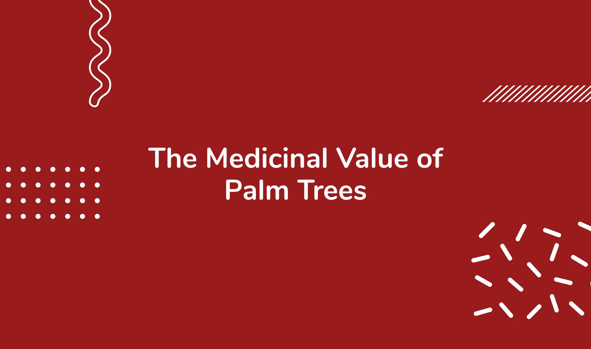The Medicinal Value of Palm Trees