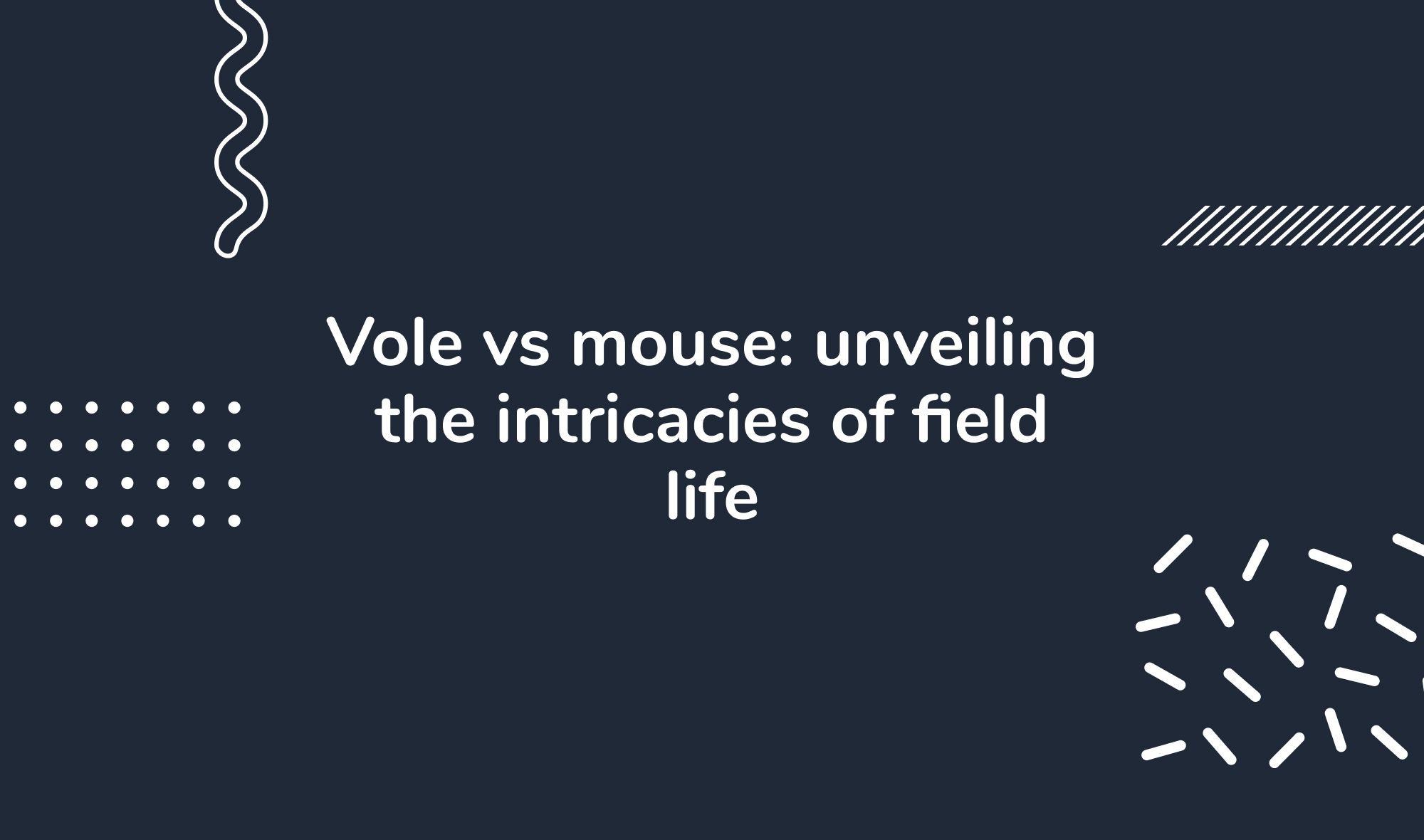 Vole vs Mouse: Unveiling the Intricacies of Field Life