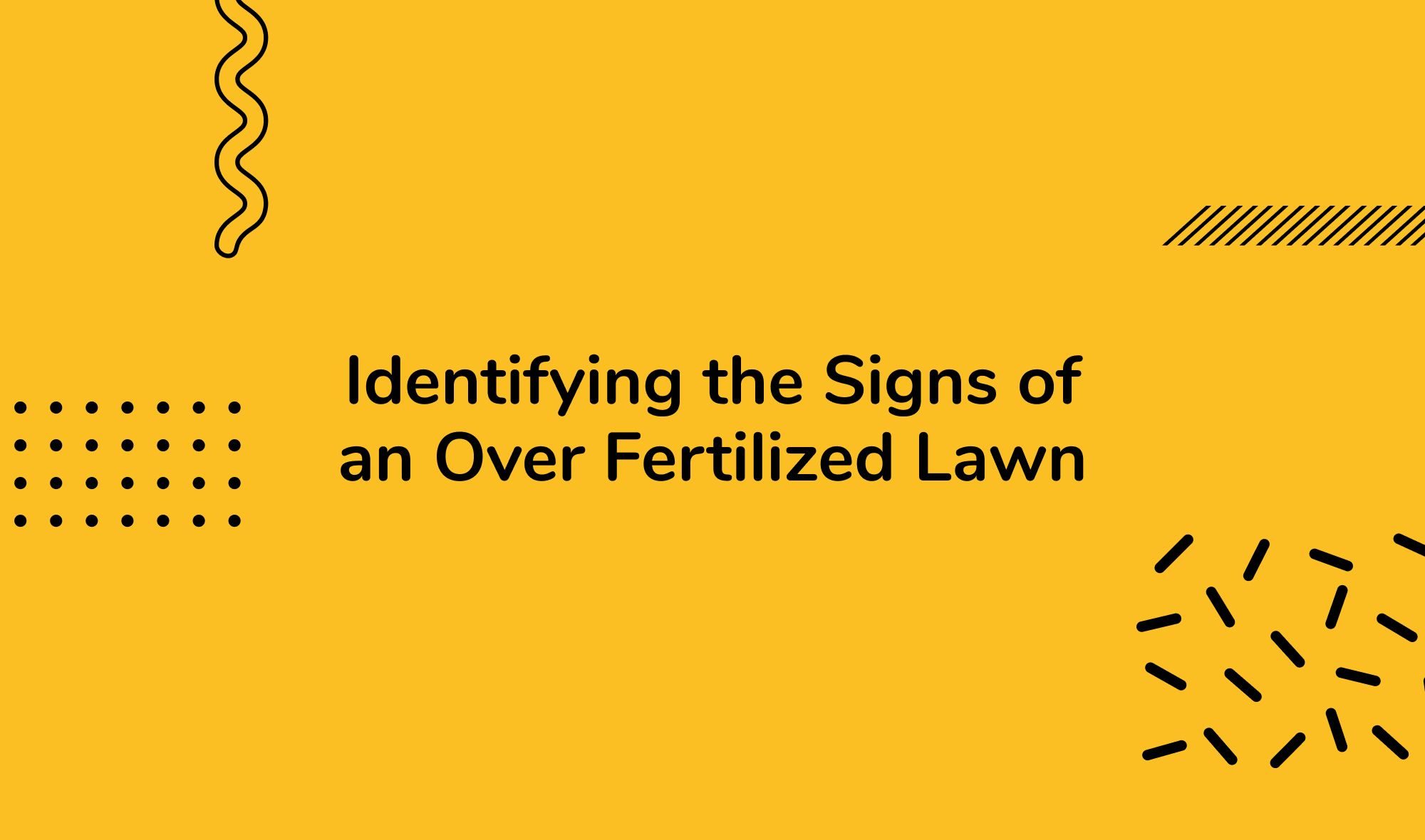 Identifying the Signs of an Over Fertilized Lawn