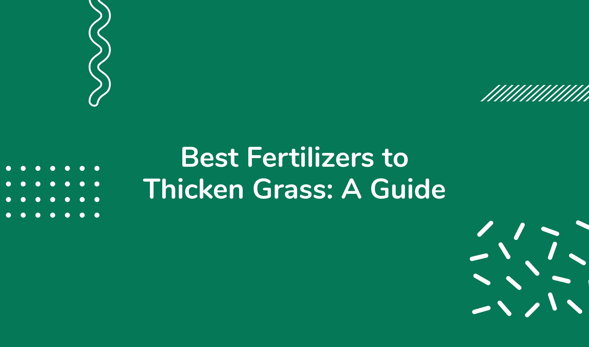 Best Fertilizers to Thicken Grass: A Guide