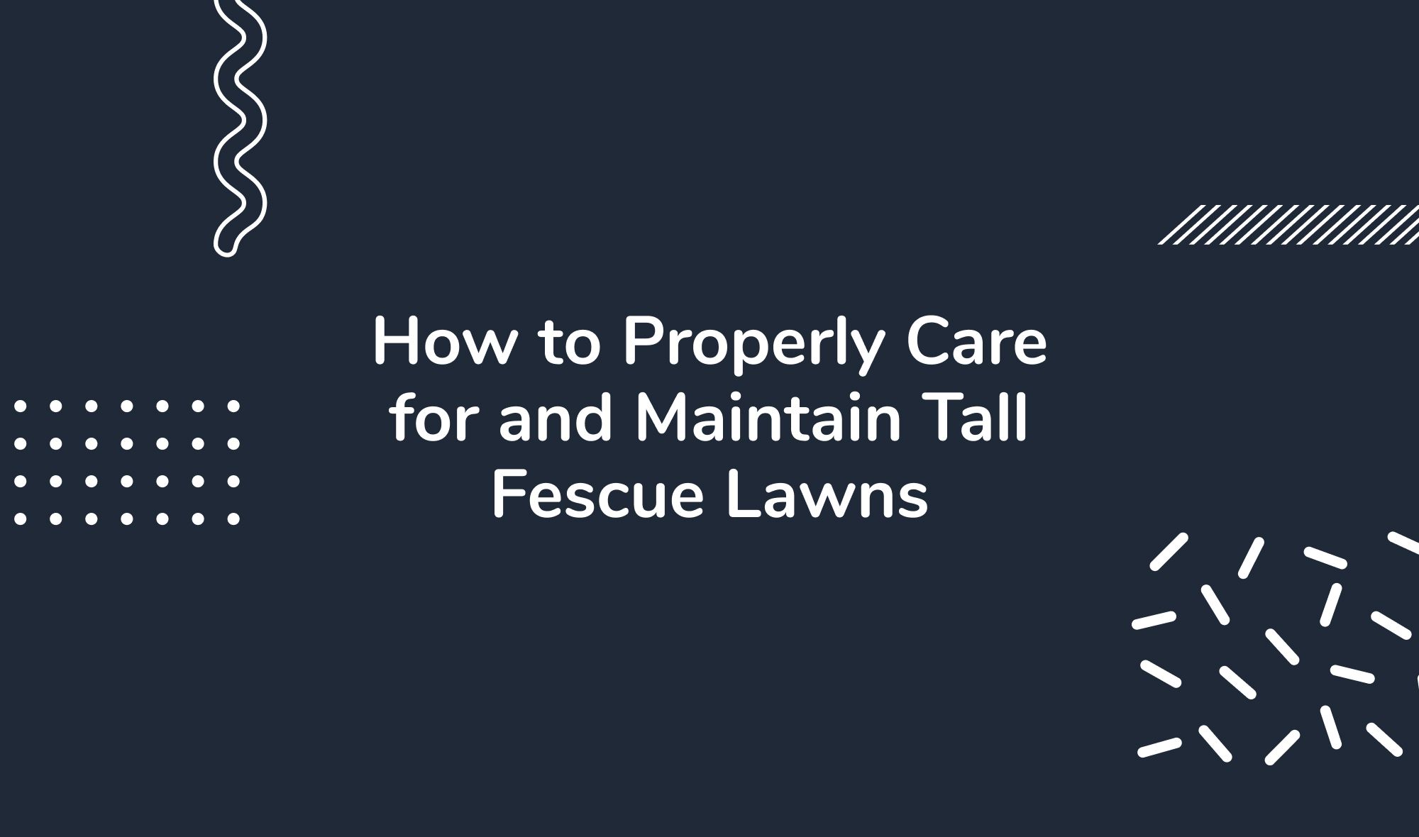 How to Properly Care for and Maintain Tall Fescue Lawns