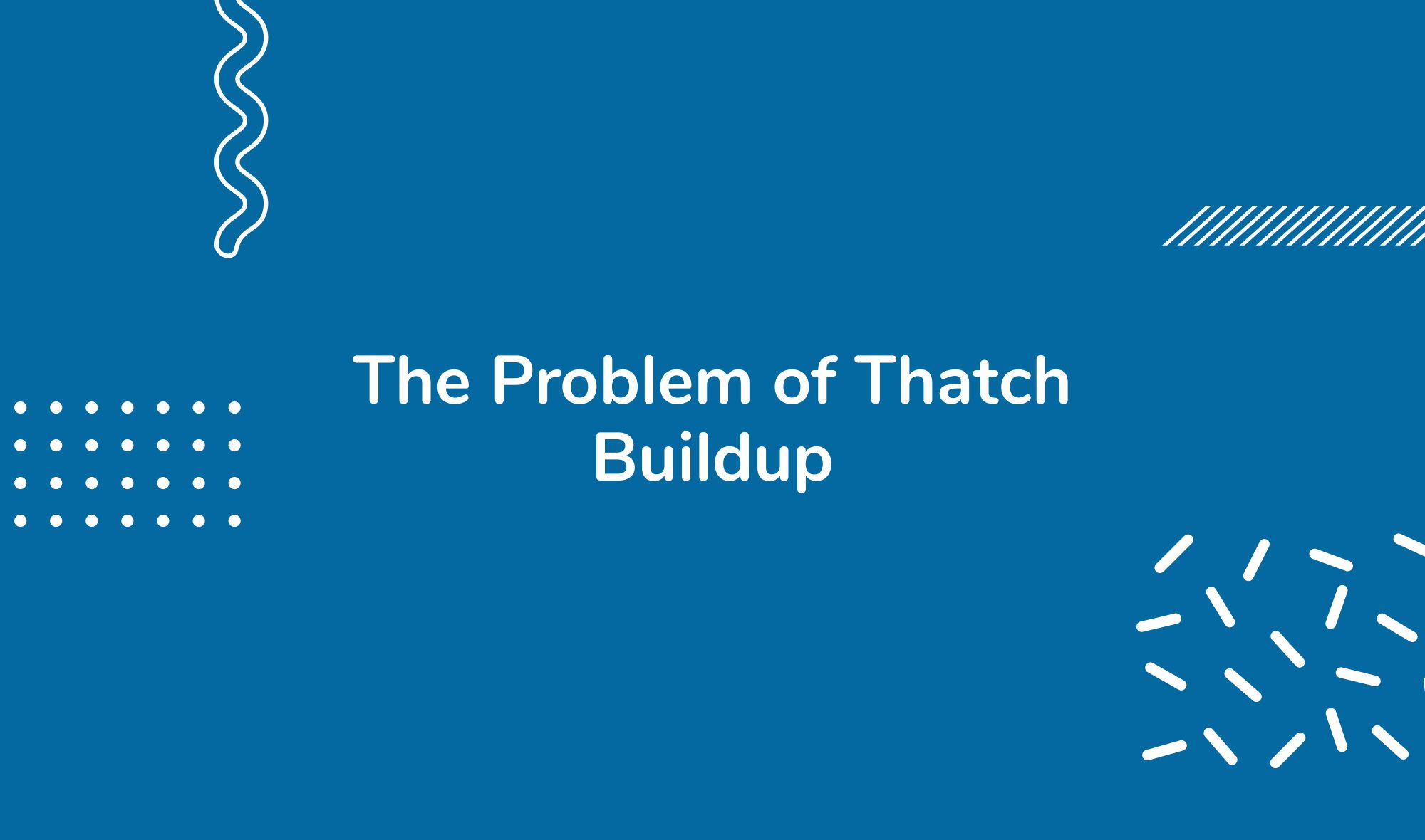 The Problem of Thatch Buildup