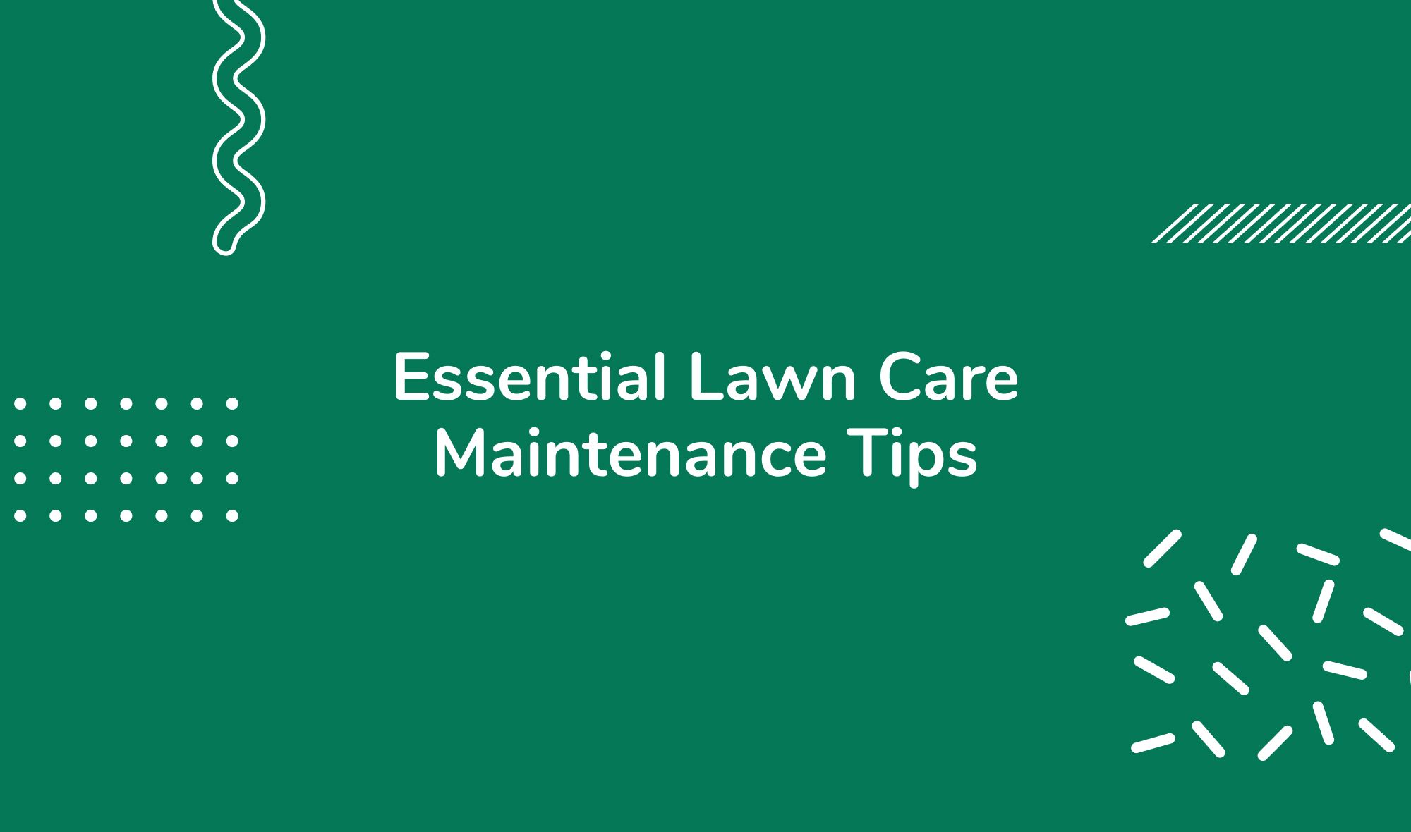 Essential Lawn Care Maintenance Tips