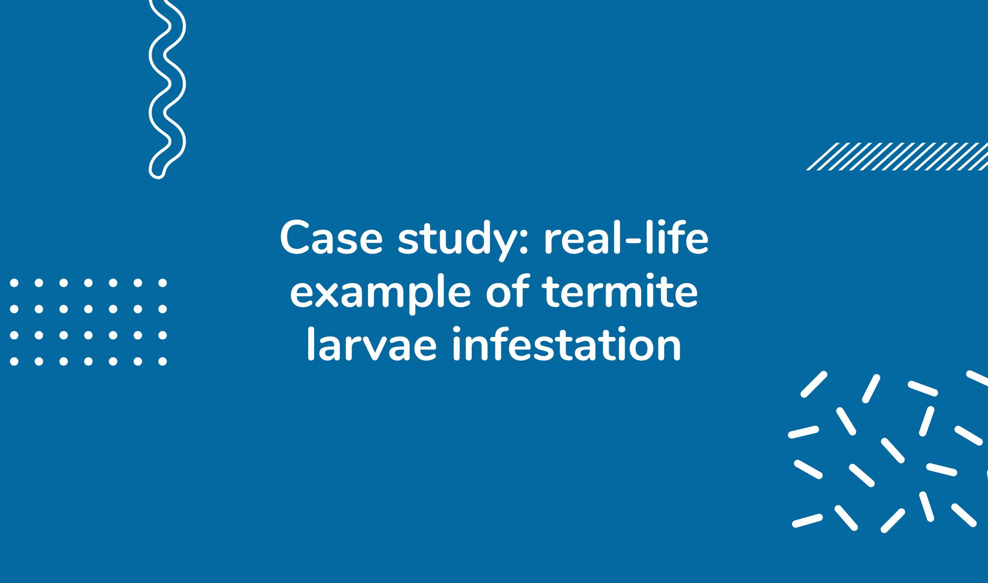Case study: real-life example of termite larvae infestation