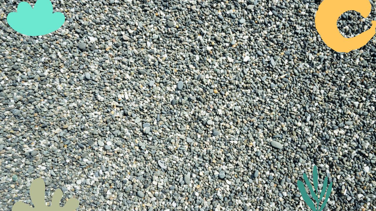 The Stone Dust Driveway and Patio