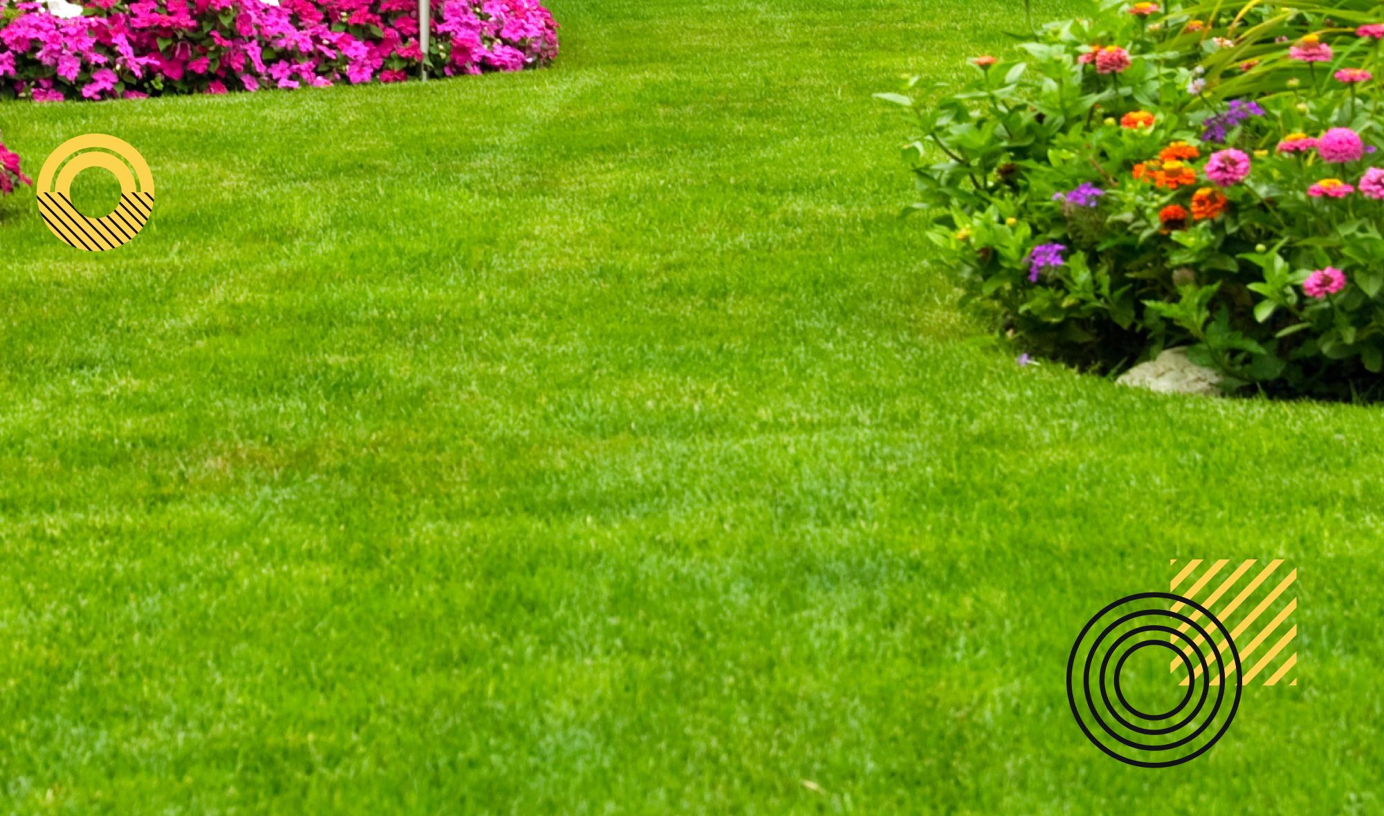 Unlocking Your Lawn's Potential: The Art of Aeration and Overseeding