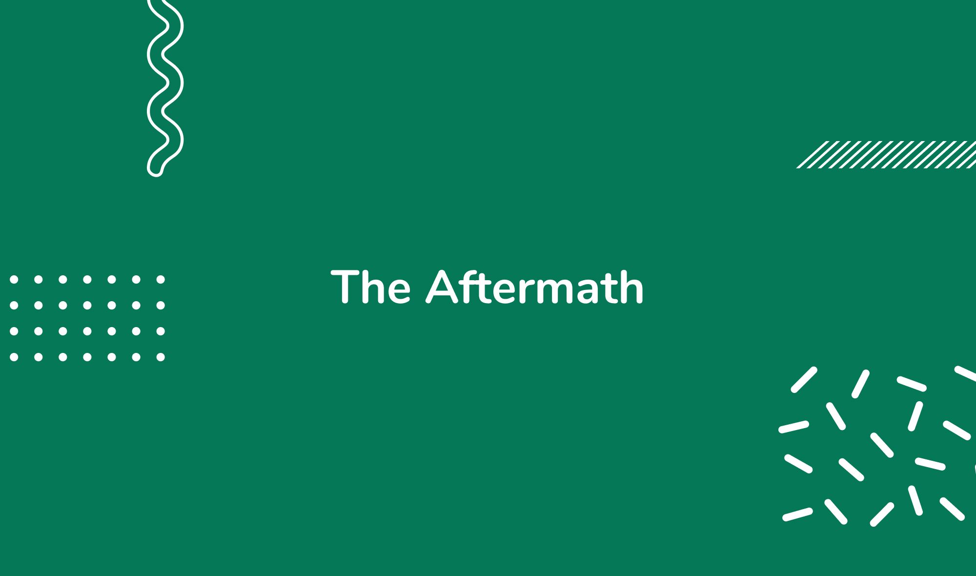The Aftermath: What to Do After Aerating Your Lawn
