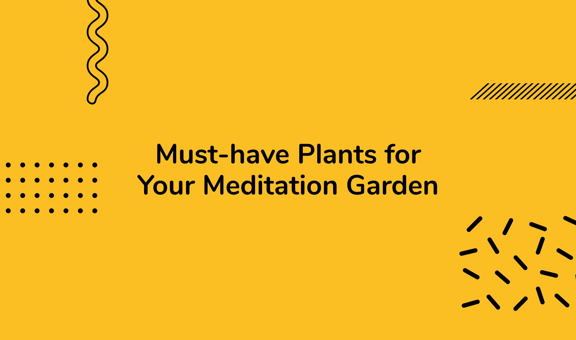 Must-have Plants for Your Meditation Garden