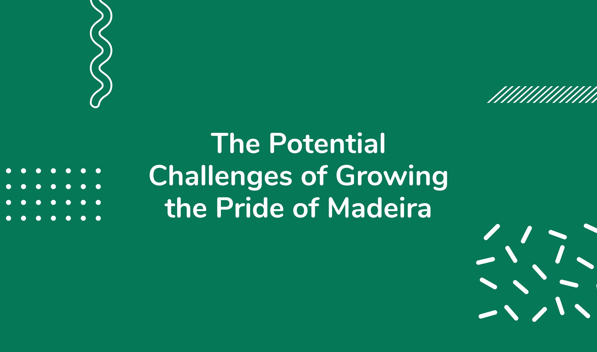 The Potential Challenges of Growing the Pride of Madeira