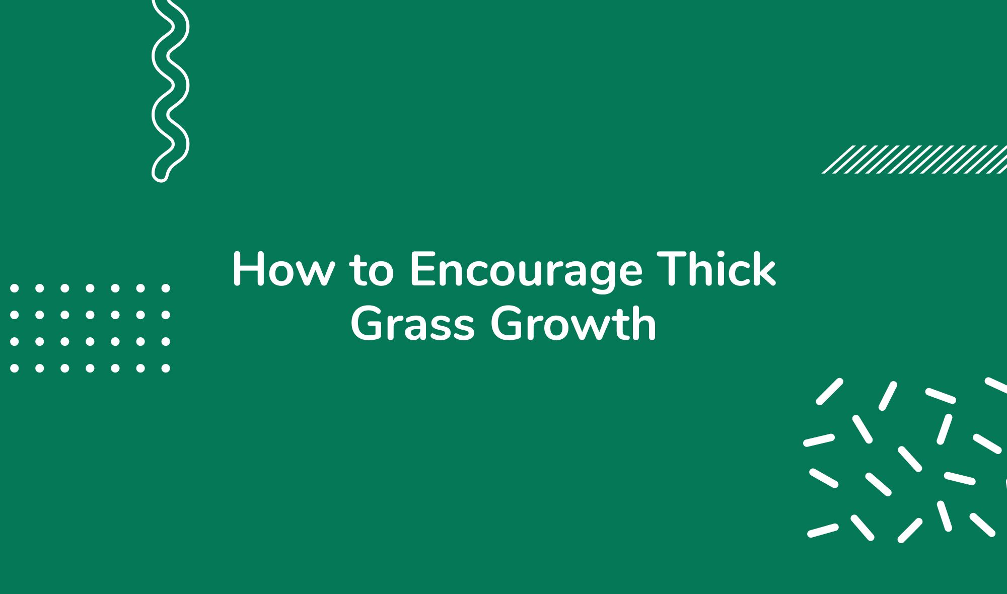 How to Encourage Thick Grass Growth