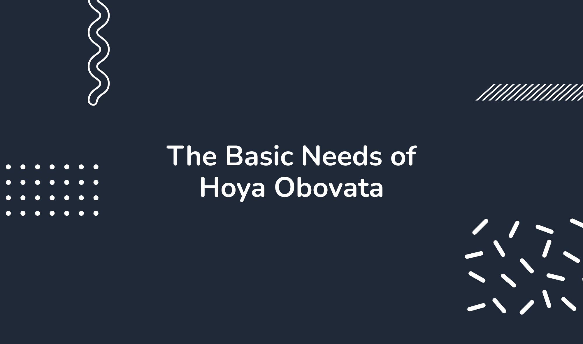 The Basic Needs of Hoya Obovata