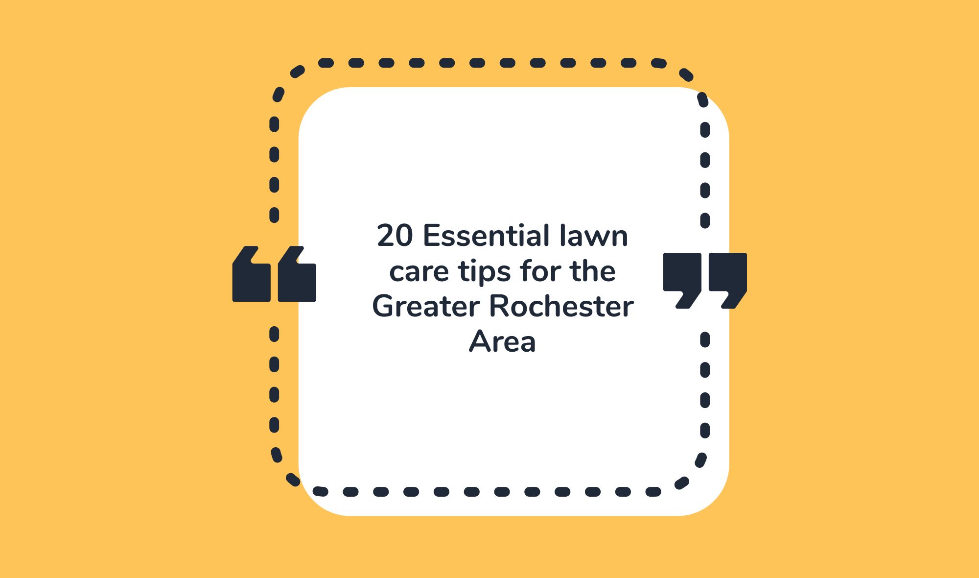 20 Essential lawn care tips for the Greater Rochester Area
