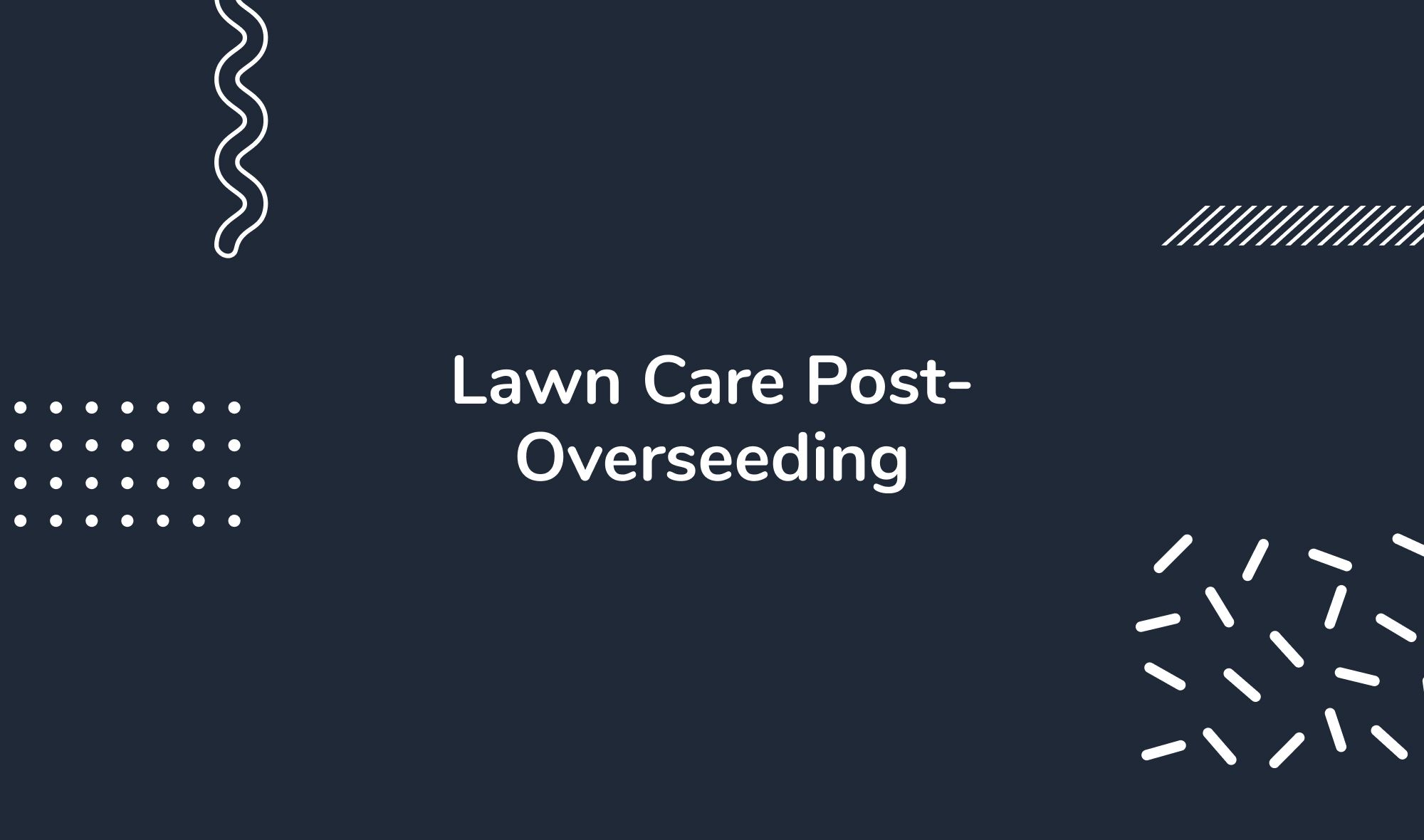 Lawn Care Post-Overseeding