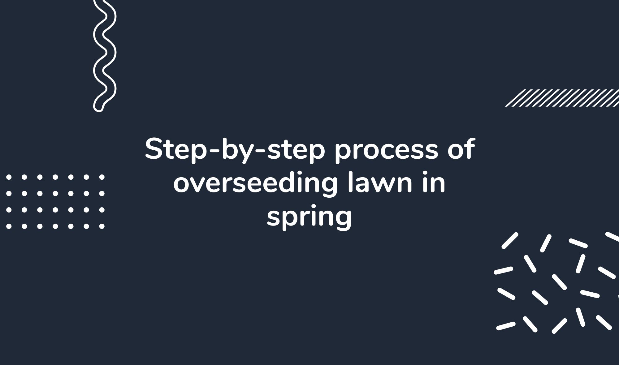 Step-by-step process of overseeding lawn in spring