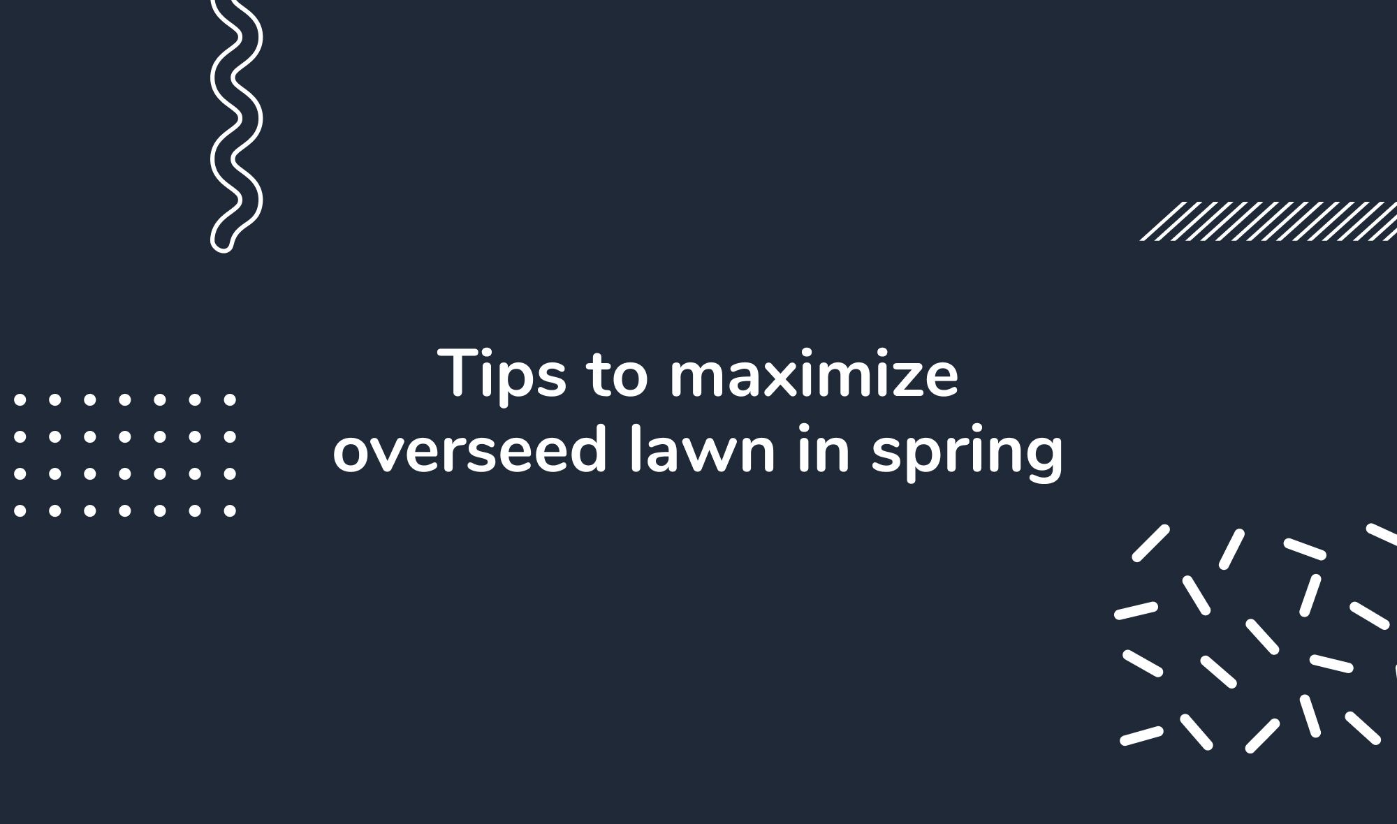 Tips to maximize overseed lawn in spring