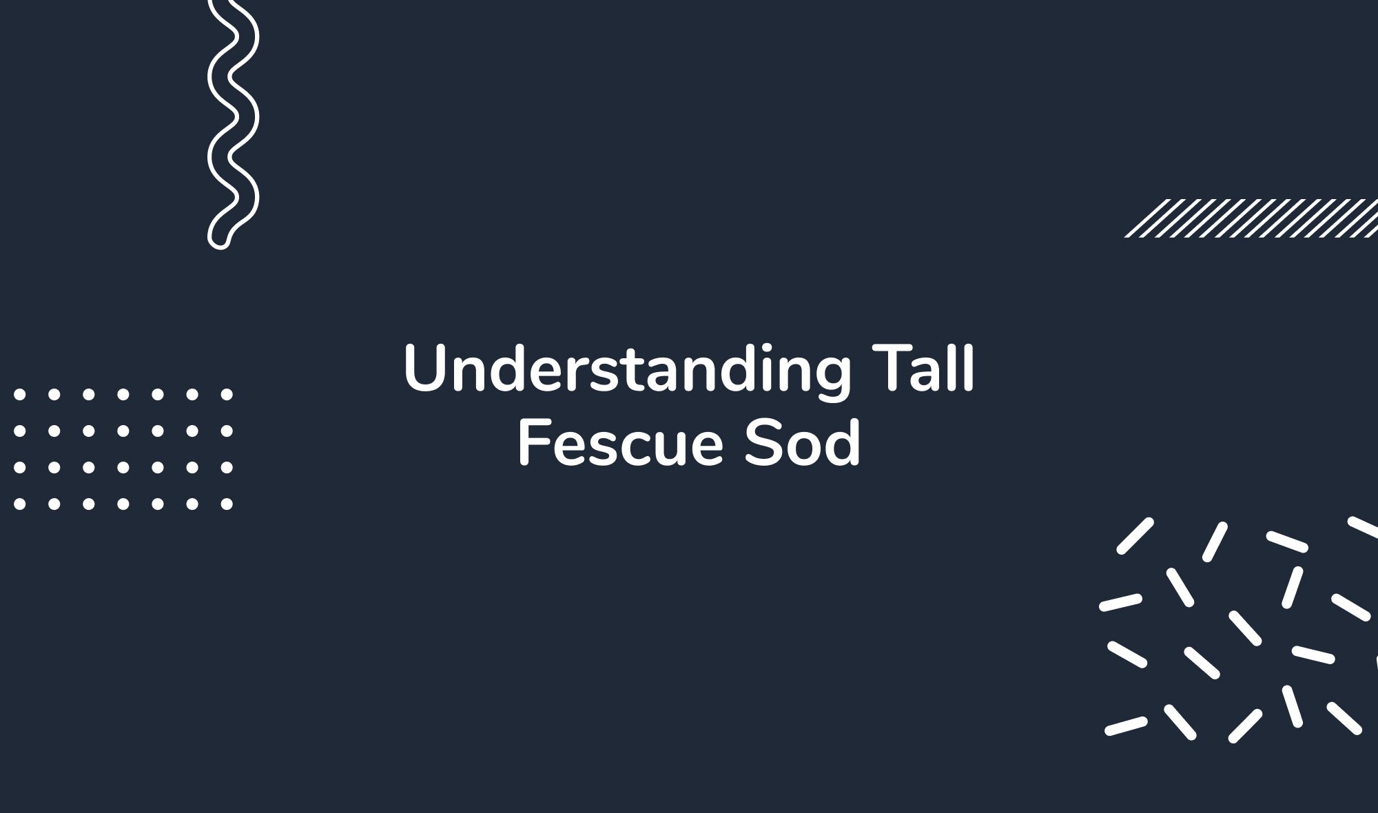 Understanding Tall Fescue Sod