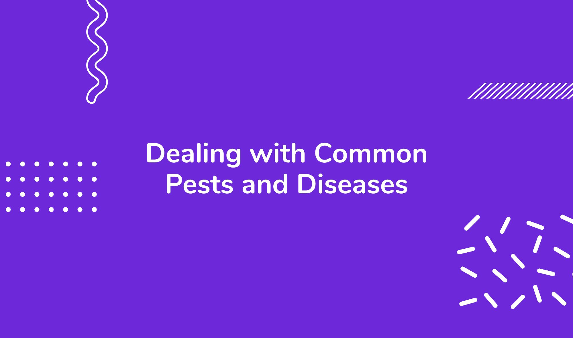 Dealing with Common Pests and Diseases