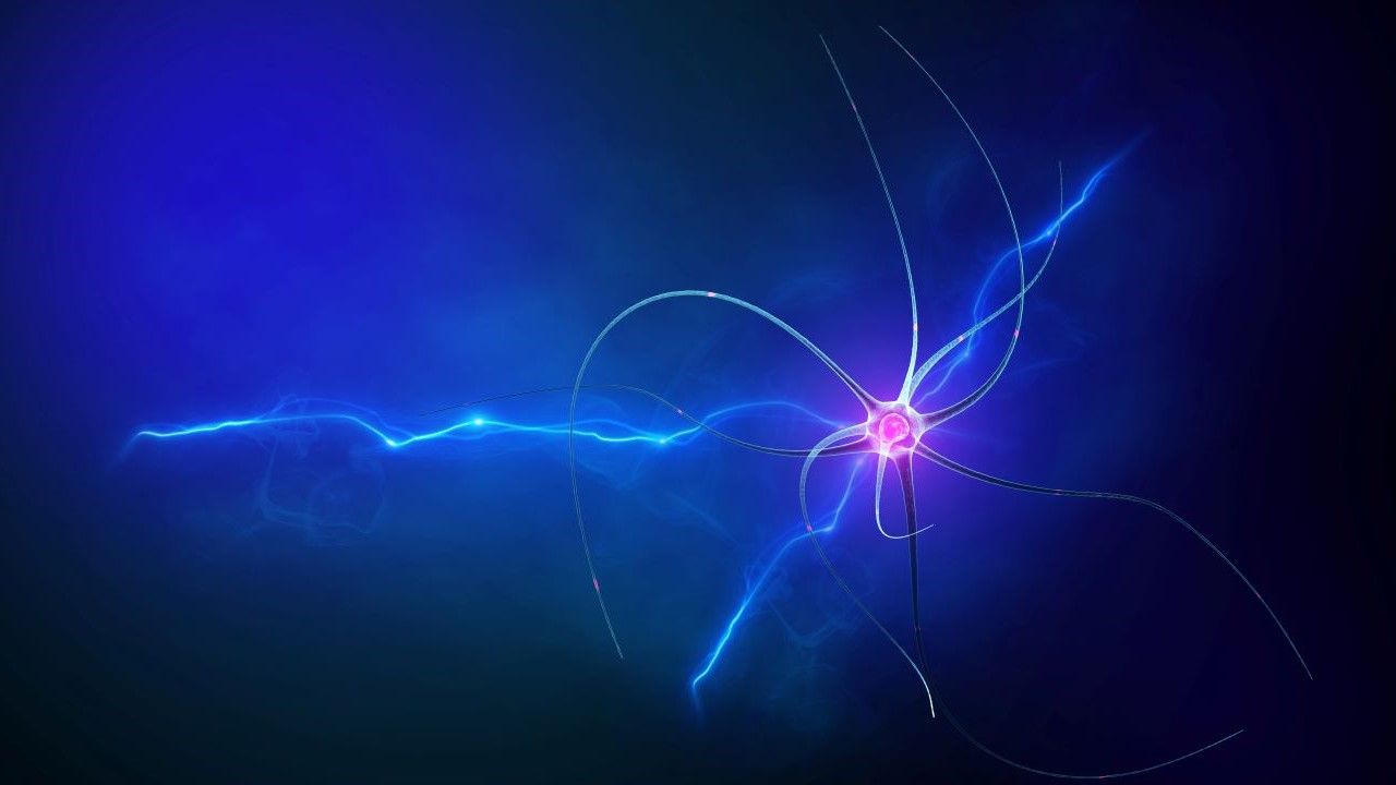 Mindbullet image
