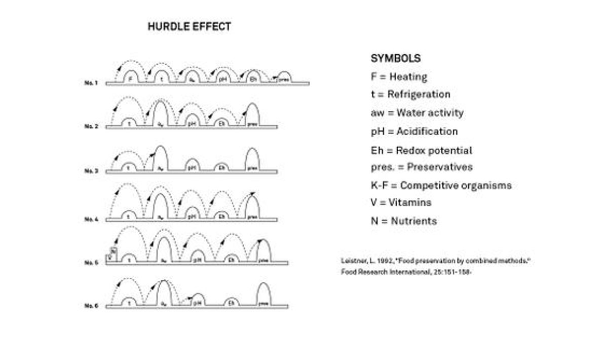 Figure 1. Illustration des combinaisons possibles de processus afin de créer des obstacles