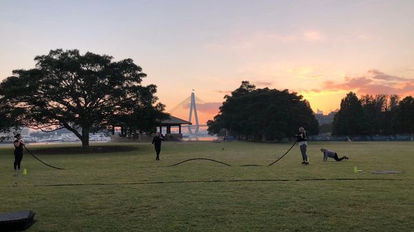 Battle Ropes in Annandale