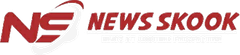 News Skook Logo