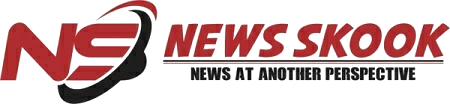News Skook Logo