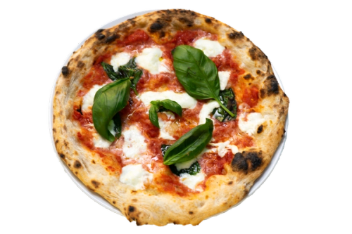 en pizza med tomatmozzarella og basilikum på
