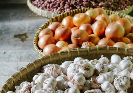 Ail et oignon : comment bien les conserver ?