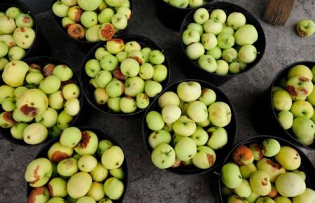 Quelles sont les causes du gaspillage alimentaire ?