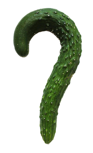 un concombre vert en forme de point d'interrogation