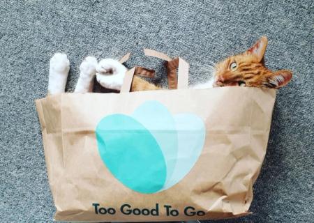 Mehr als die Katze im Sack